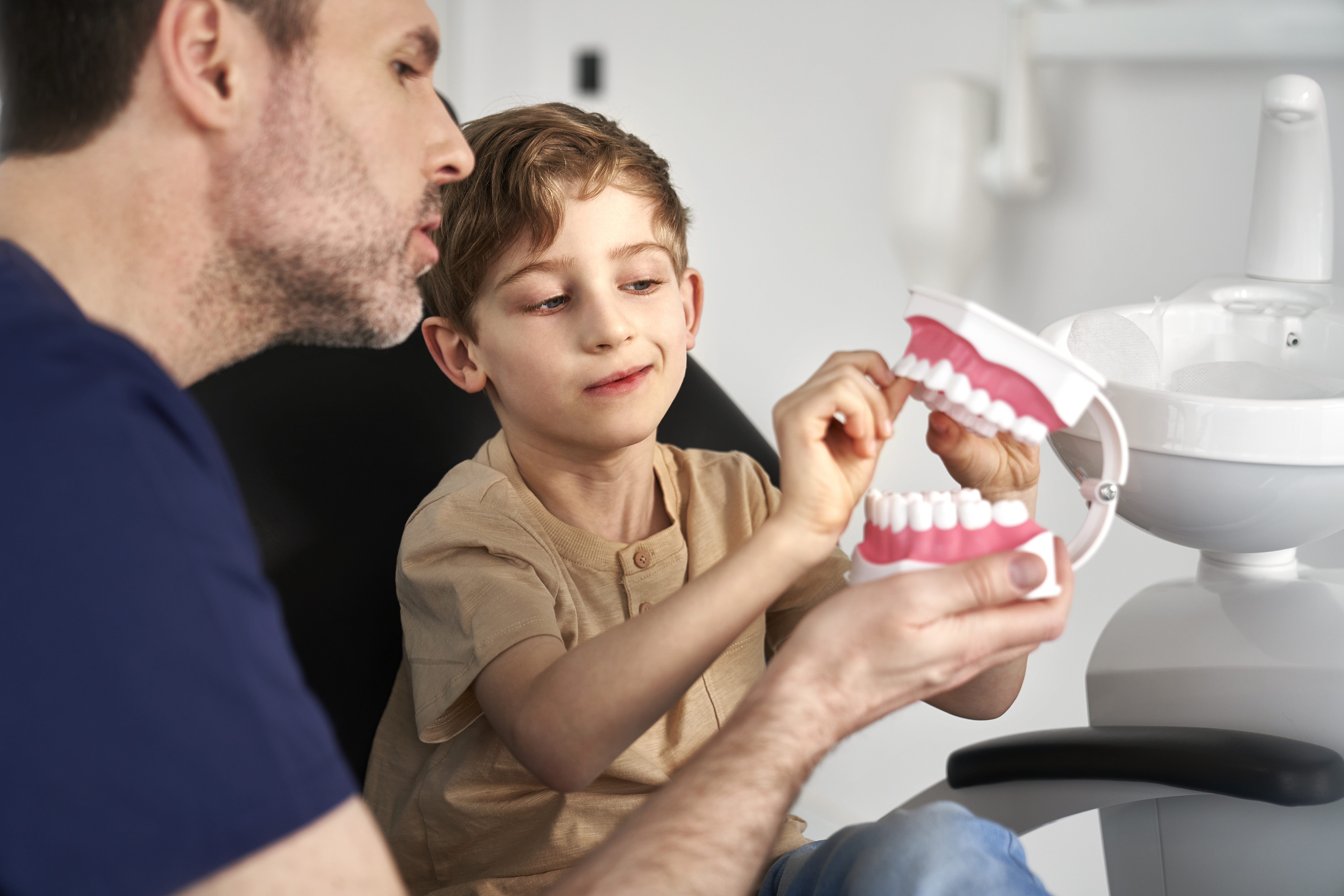 Dentist showing child mouth anatomical model